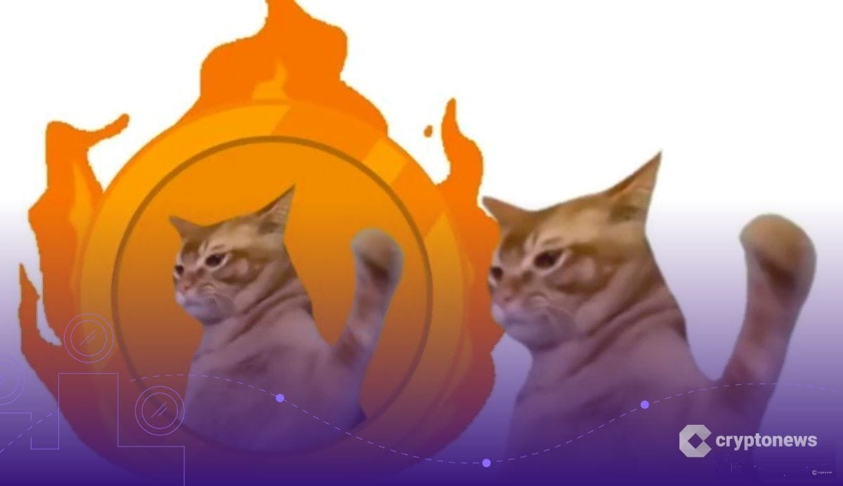 ¡Se avecina una quema masiva de $SLAP!