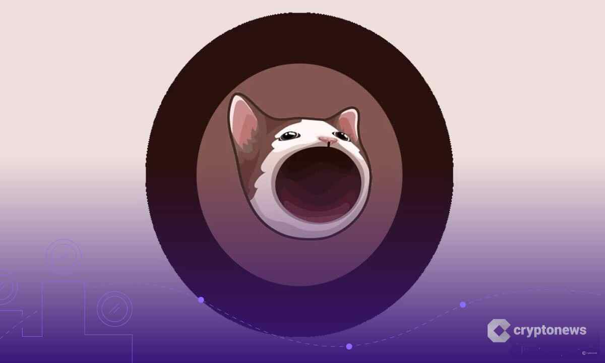 POPCAT ha subido un 16% hoy ¿es hora de comprar?