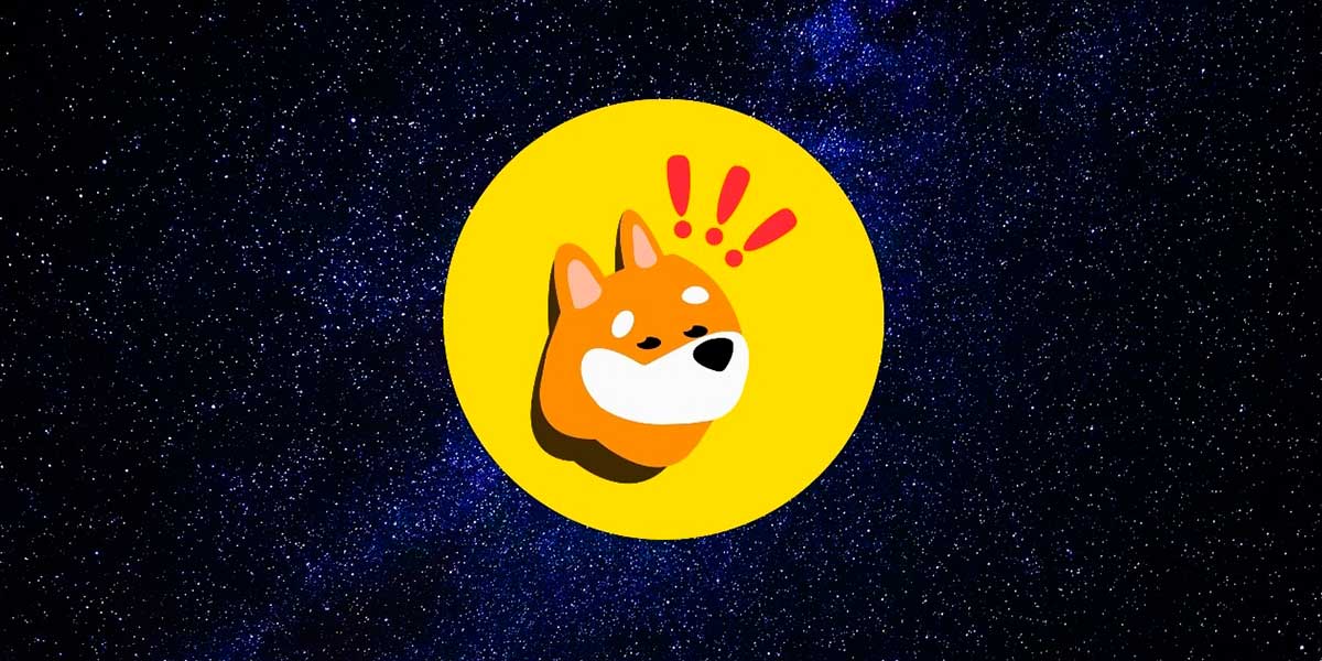 Bonk - Meme coins Solana