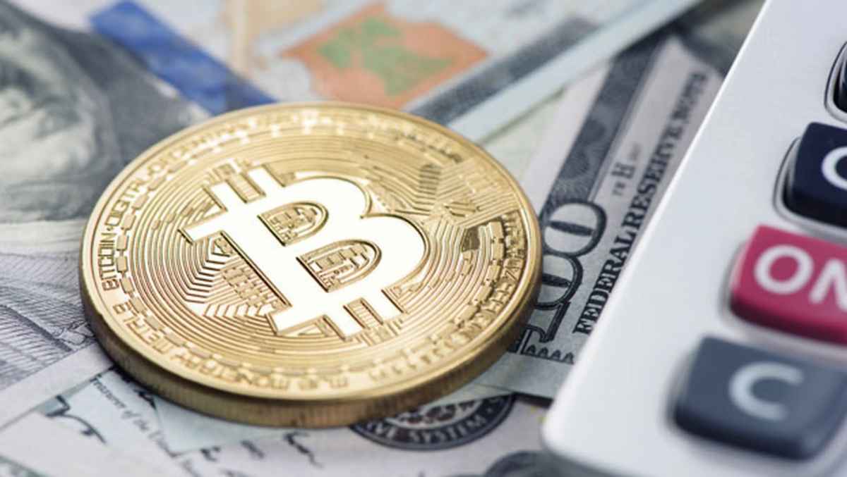 Calculadora rentabilidad criptomonedas: ganancias y pérdidas