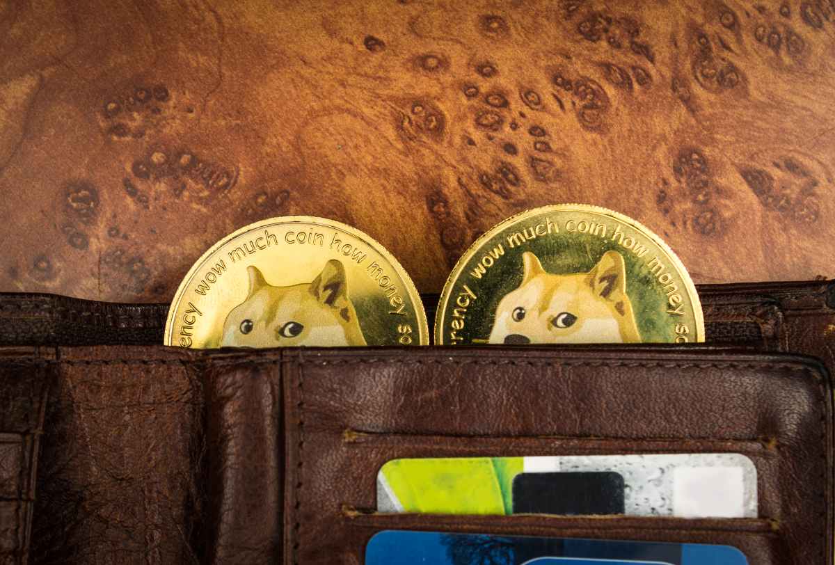 Dogecoin wallet: ¿Cuál es la mejor para almacenar DOGE de forma segura?