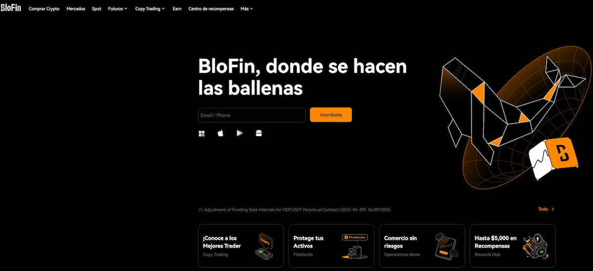 Tipos de criptomoneda: muchos de ellos podrás comprarlos a través de BloFin