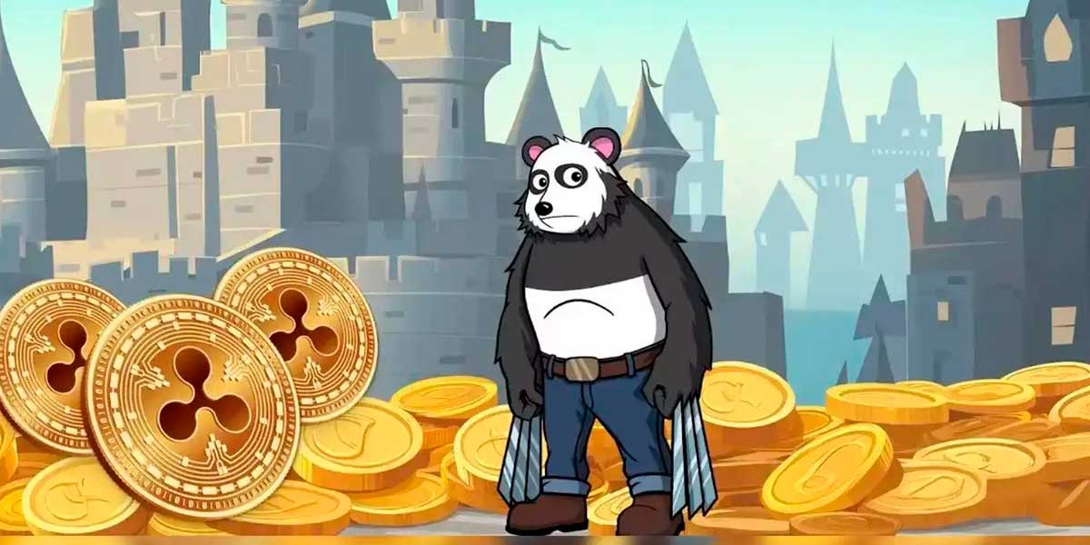 Personaje de Panshibi - ¿Qué le depara a SHIBI en el futuro?