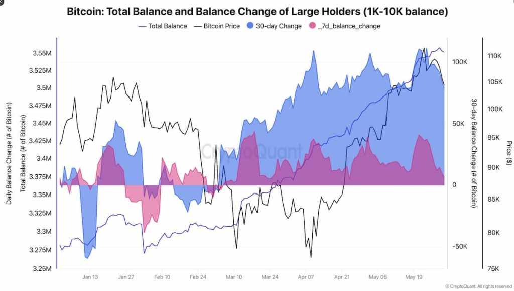 Precio de Bitcoin: Cambio en el saldo total de los grandes inversores