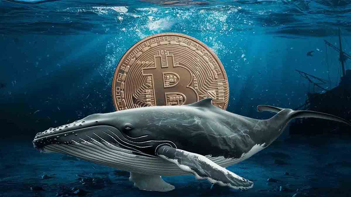 Ballenas impulsan precio de Bitcoin