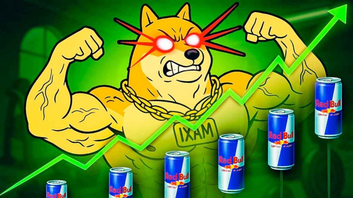 Maxi Doge se presenta como una de las memecoins más rentables