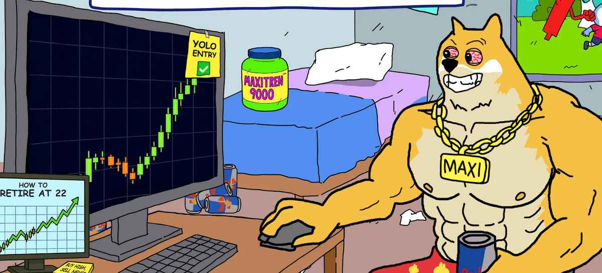 MAXI es una de las mejores criptomonedas emergentes