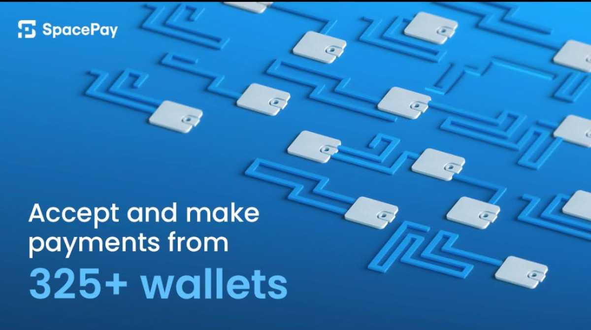 Análisis de la preventa de SpacePay