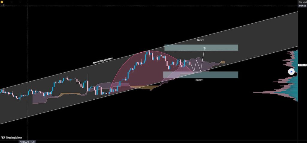 Análisis del oro: el metal precioso podría acabar explotando
