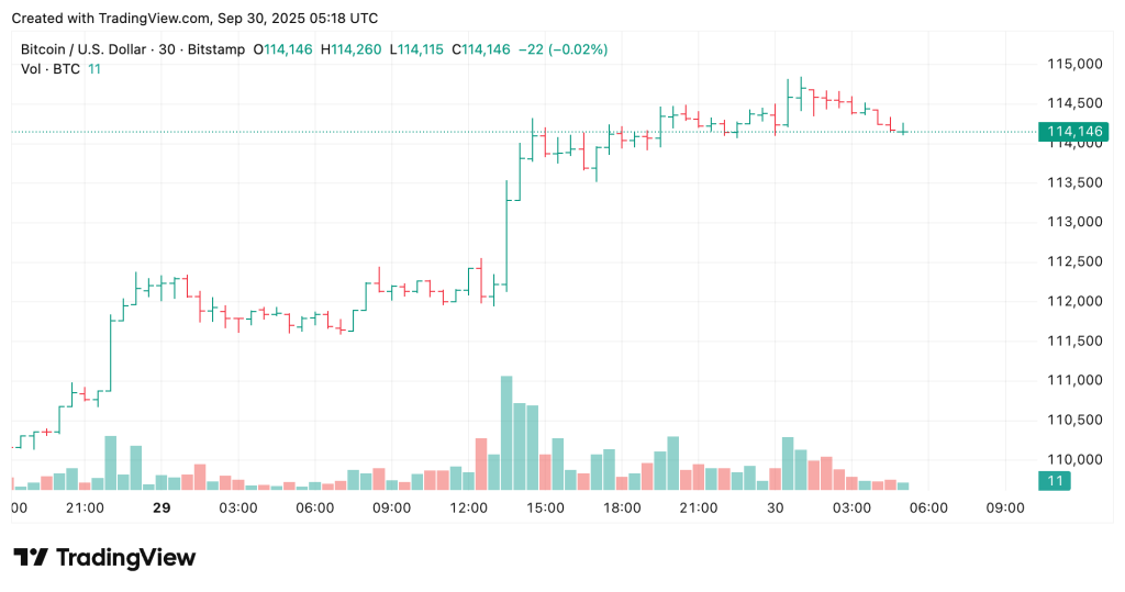 Visualización del precio de Bitcoin en TradingView