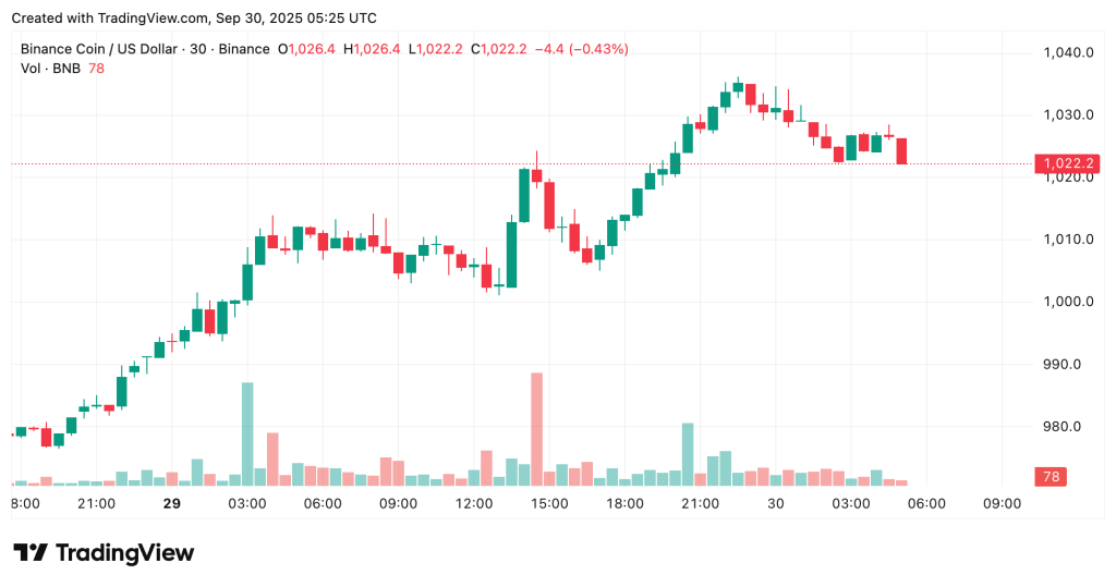Visualización de precio de BNB en TradingView
