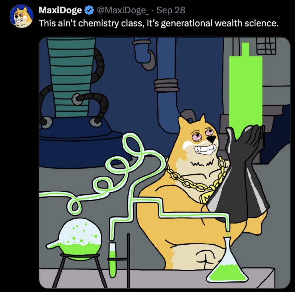 maxi doge preventa 2025