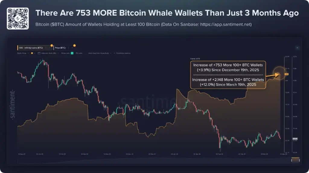 El gráfico muestra el ascenso constante de las carteras de ballenas de Bitcoin