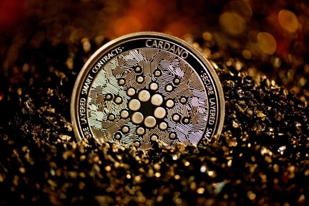 Cardano hoje