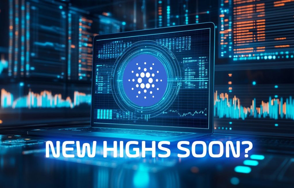 Cardano hoje
