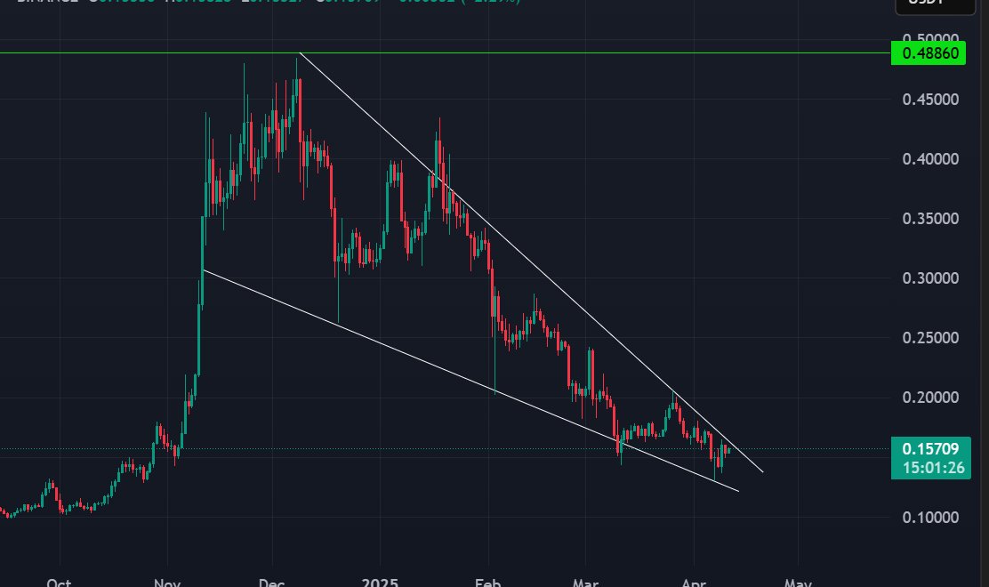 dogecoin cunha