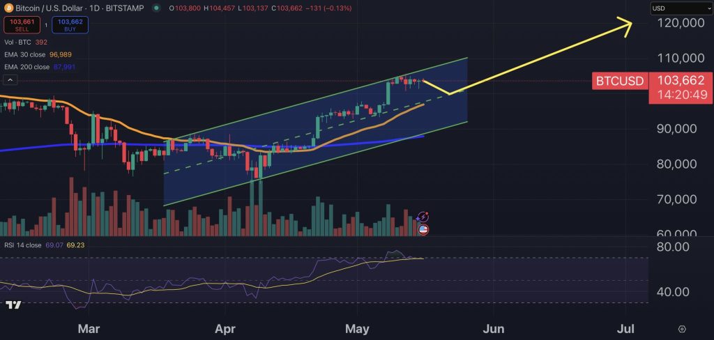 Gráfico do Bitcoin (BTC) no TradingView