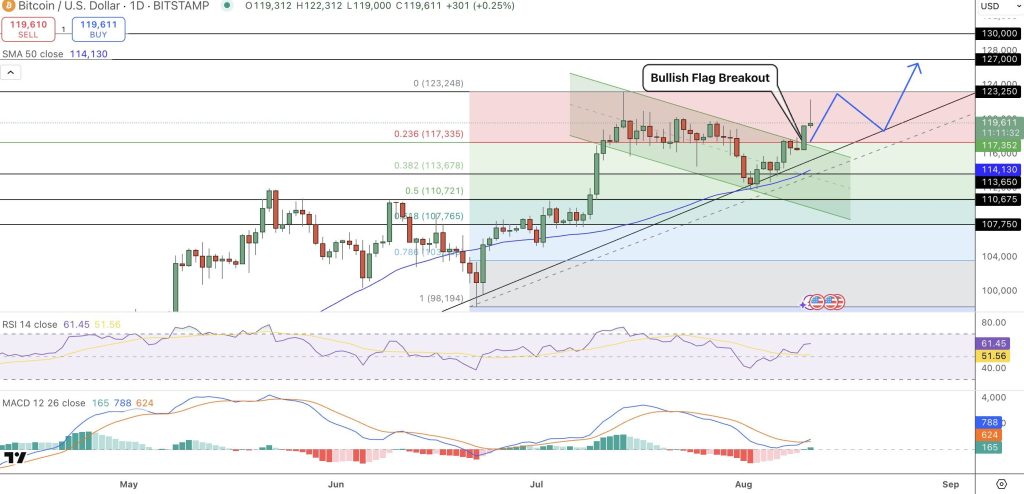 Gráfico do Bitcoin (BTC) no TradingView