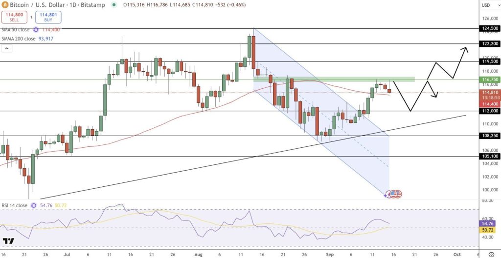 Gráfico do Bitcoin (BTC) no TradingView