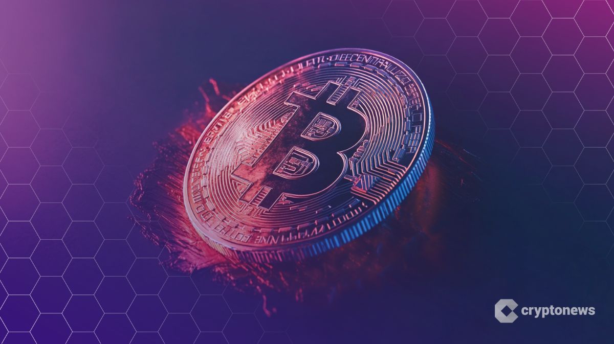 Bitcoin hoje: baleias alocam BTC e analistas veem sinal de alta -  CryptoNews Brasil