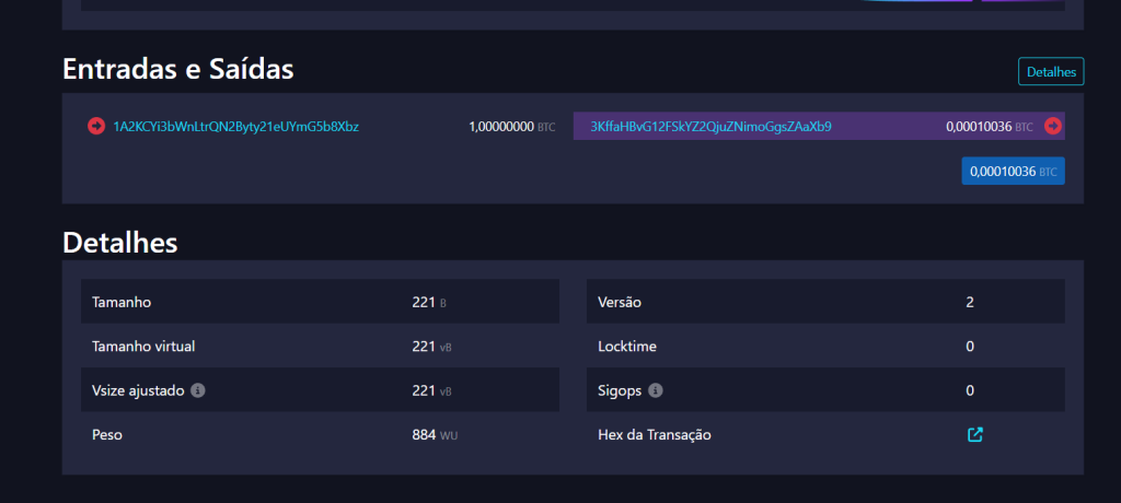 Investidor de Bitcoin