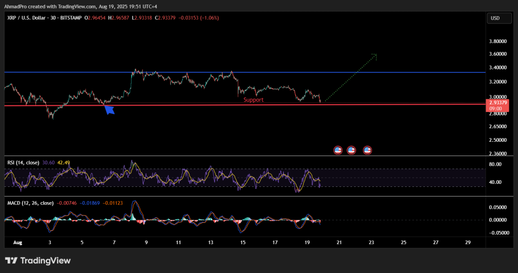 XRP RSI & MACD