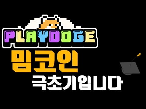 극초기 밈코인 리플 플레이도지 PLAYDOGE P2E 입니다(밈 + P2E)