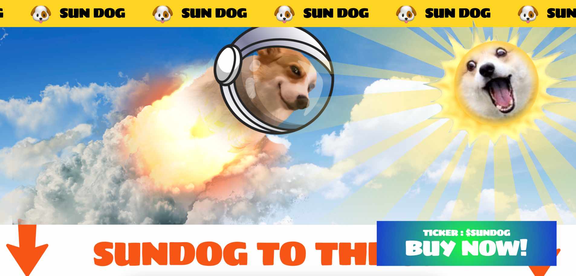 2025 년 인기 트론 밈코인 순위별로 알아보기, image size:1906x914