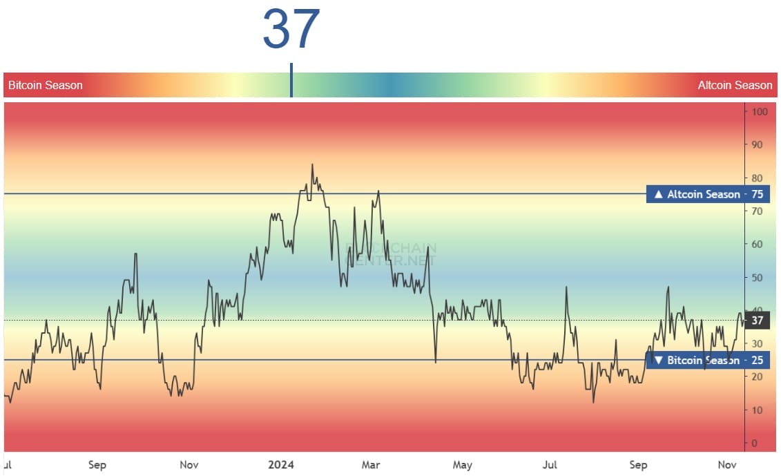 알트코인 시즌 인덱스