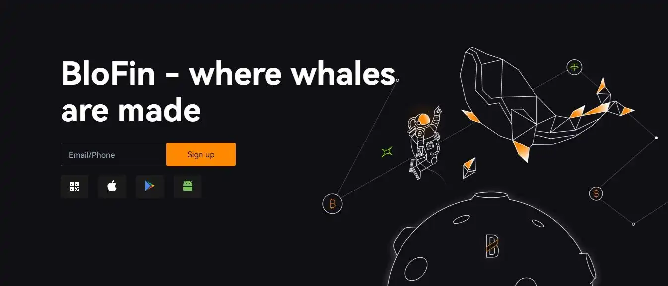 탈중앙화 지갑 추천 - 블로핀