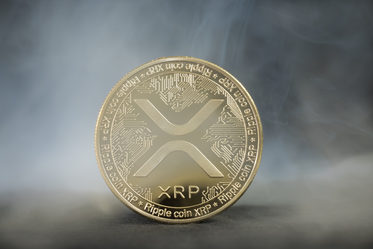 엑스알피(XRP) 랠리 이제 시작했다는 전문가들… 다음 목표 가격 얼마?