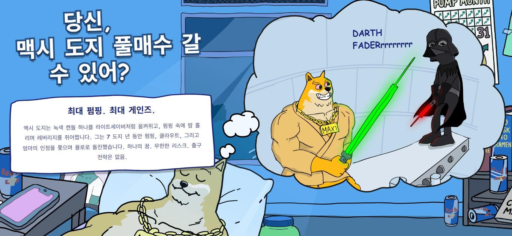 맥시 도지 가격 전망