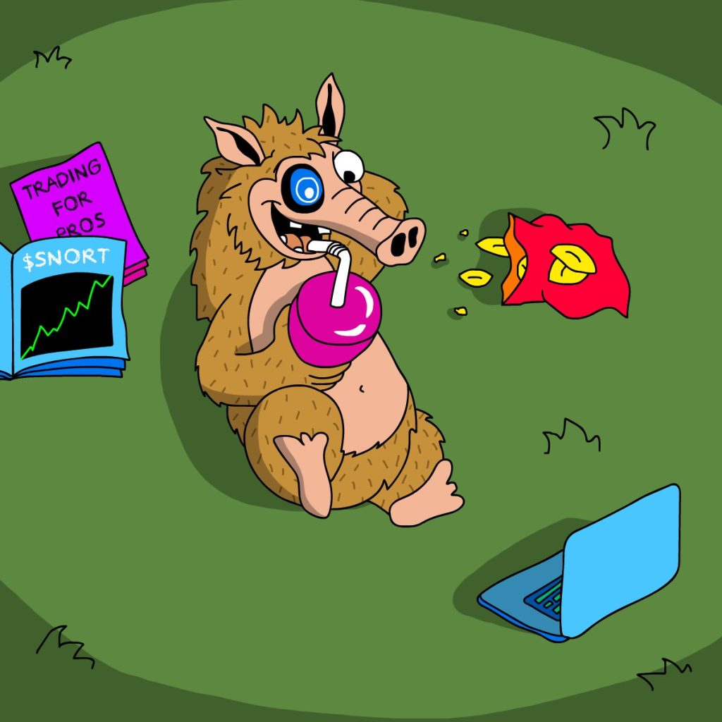 스노터 토큰 프리세일