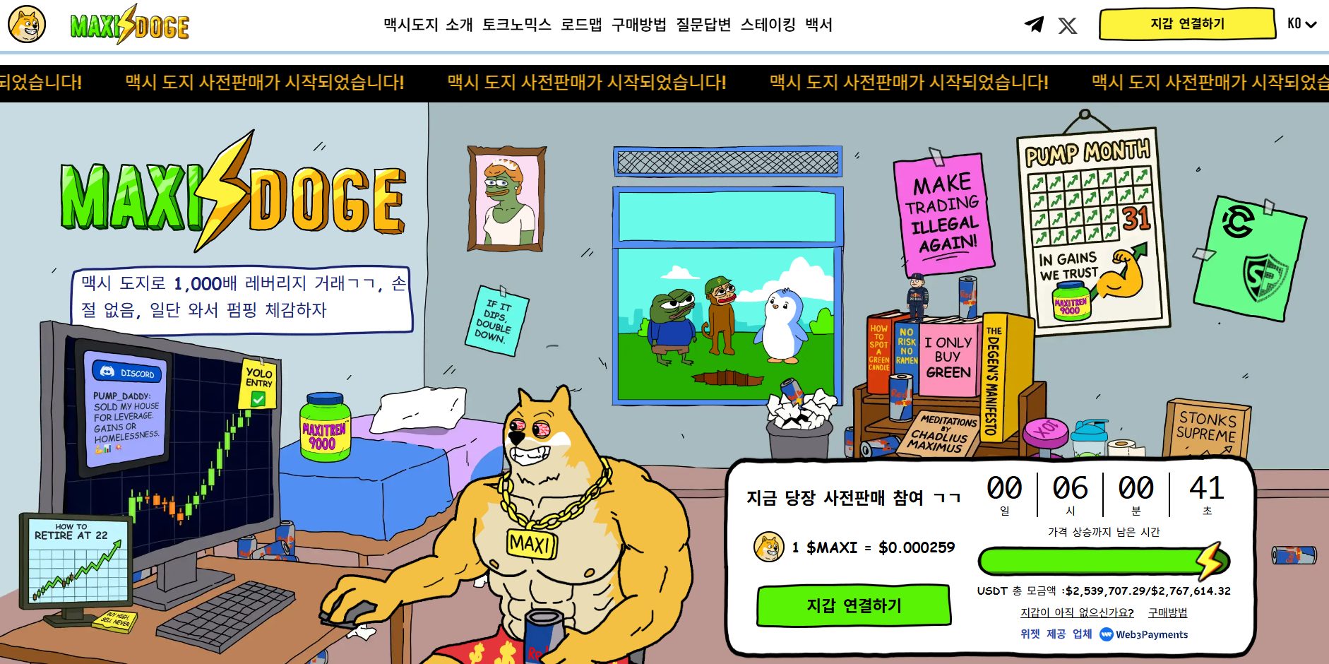 맥시 도지 밈코인 사는법