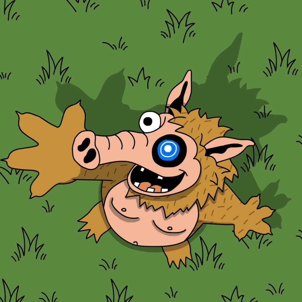 스노터 토큰 프리세일