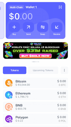 베스트 월렛 인터페이스