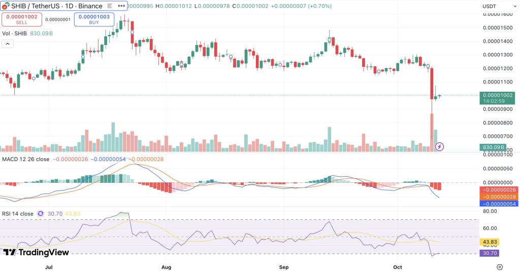 시바이누 시세 차트