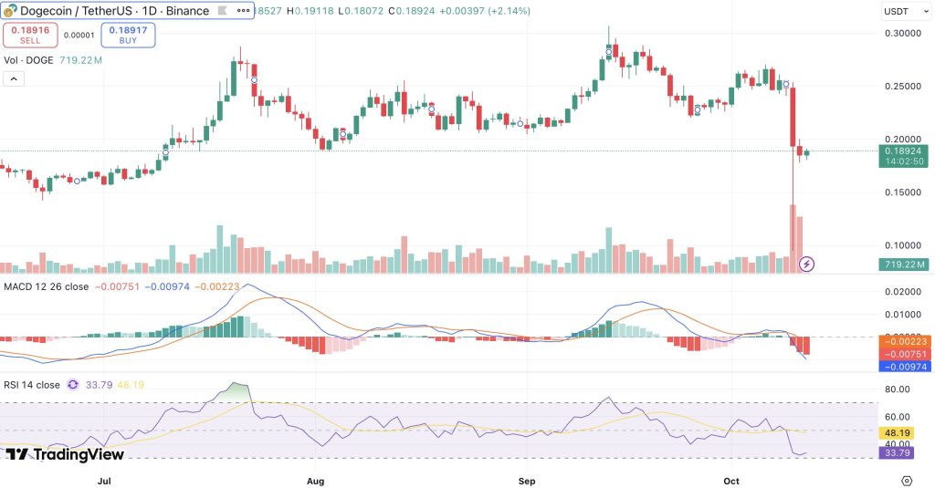 도지코인 시세 차트