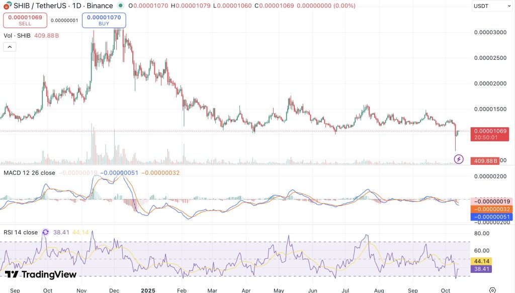 시바이누 시세 차트