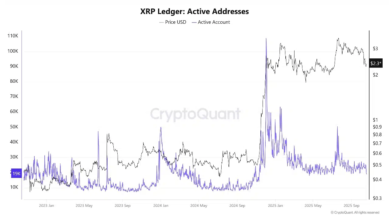XRP 활성 지갑