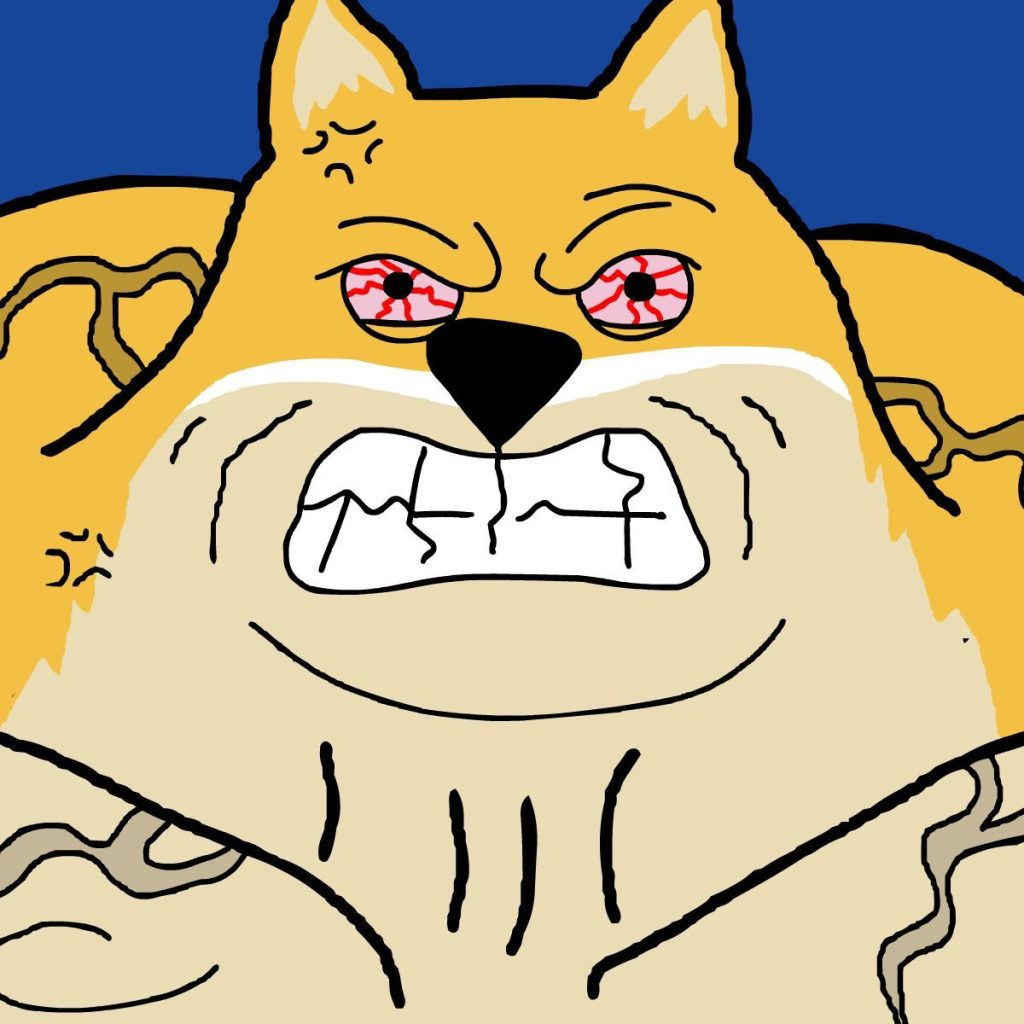 맥시도지 프리세일