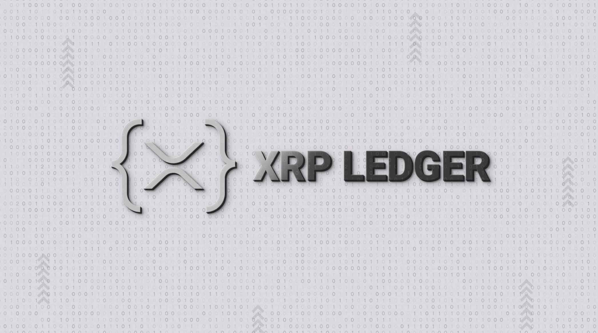 XRP 레저(XRP Ledger)란? 리플과 XRP를 잇는 탈중앙 인프라의 진짜 주인공