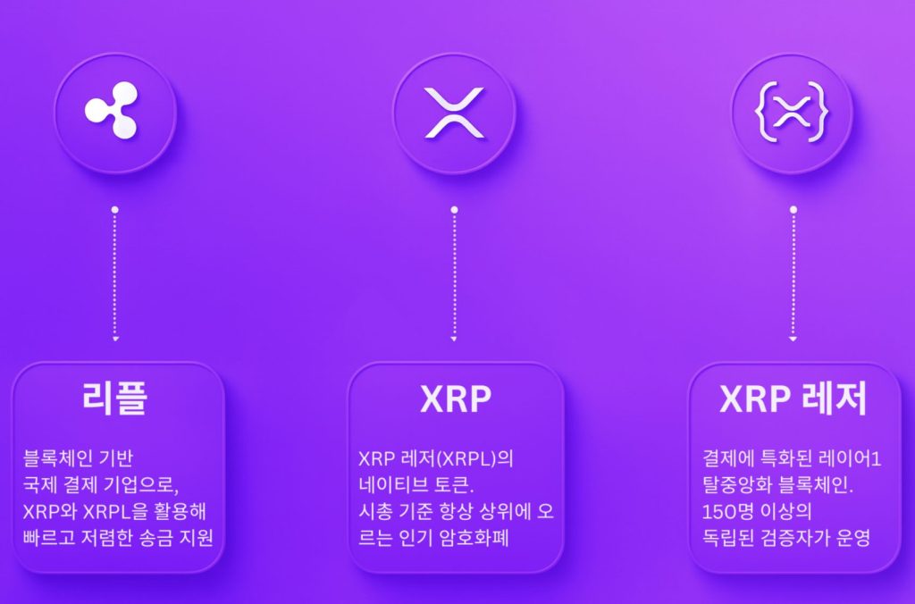 xrp 레저, 리플, xrp 관계