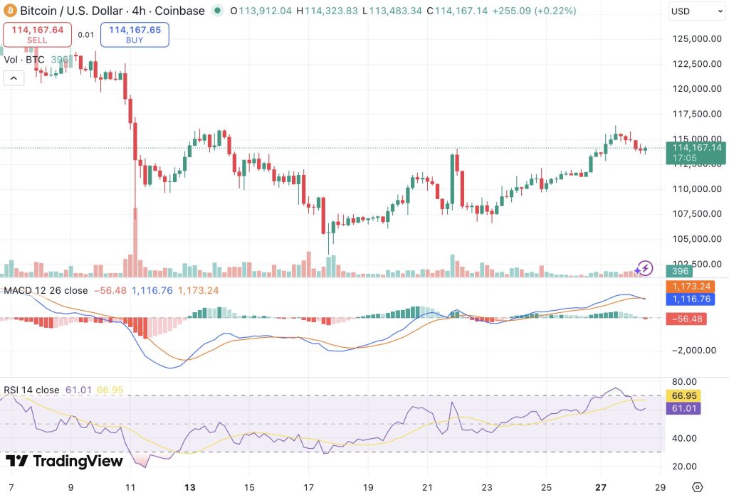 비트코인 11만 6,000달러 회복