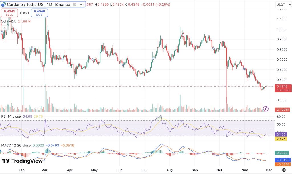 에이다 시세 차트
