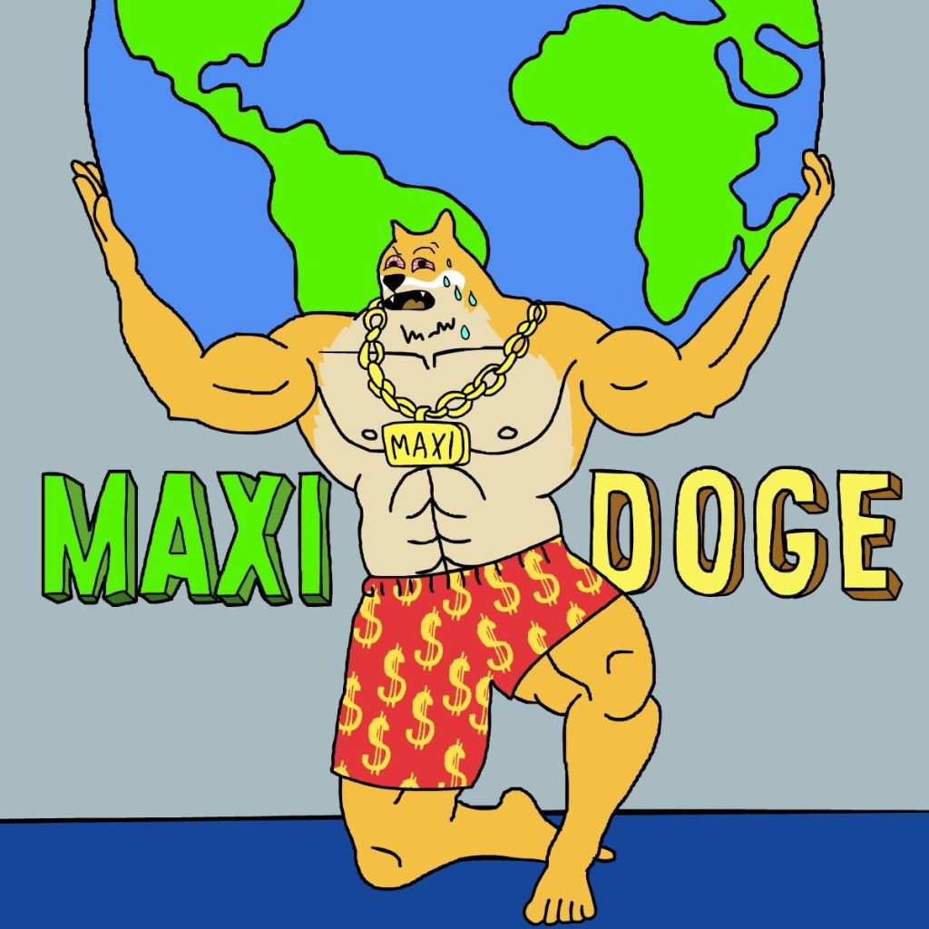 맥시도지 프리세일