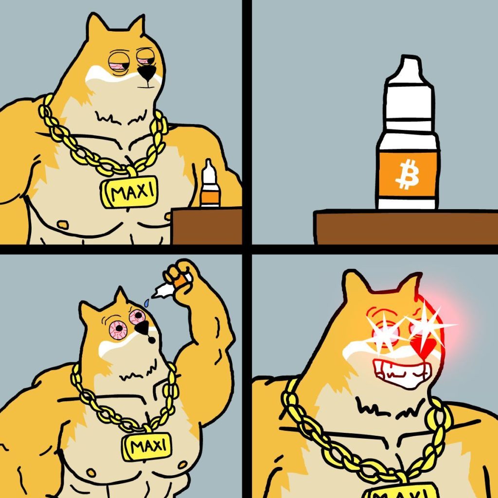 맥시도지 프리세일