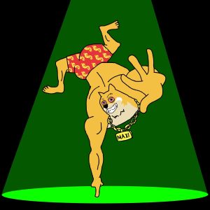 베네수엘라 주식 폭등, 코인 시장의 다음 급등 타자는 맥시도지?