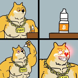 솔라나 밈코인 24시간만에 6265% 폭등 ··· 차세대 대형 밈코인의 등장?