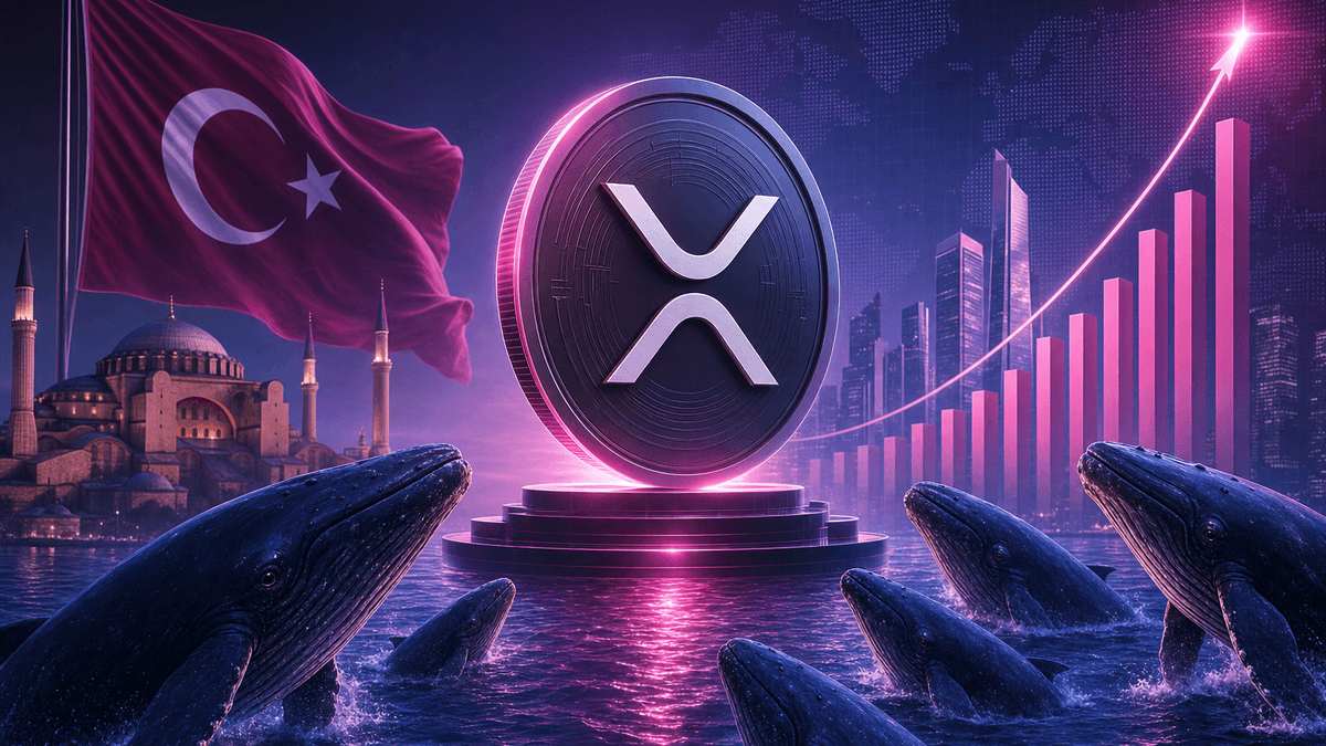 [XRP 뉴스]'터키 달러화 시장 전격 진출' 리플, 연초 최대 규모 고래 매집 포착
